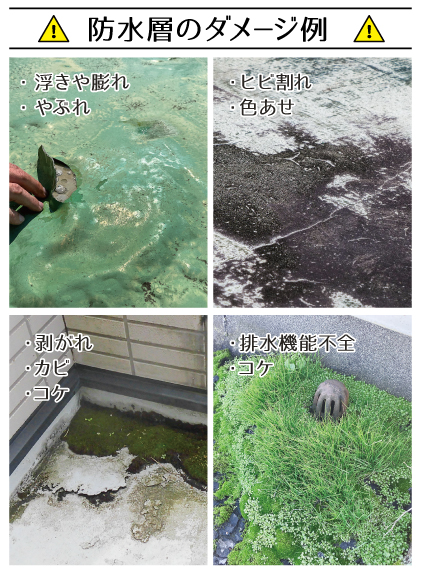 夏のダメージは秋に表面化する